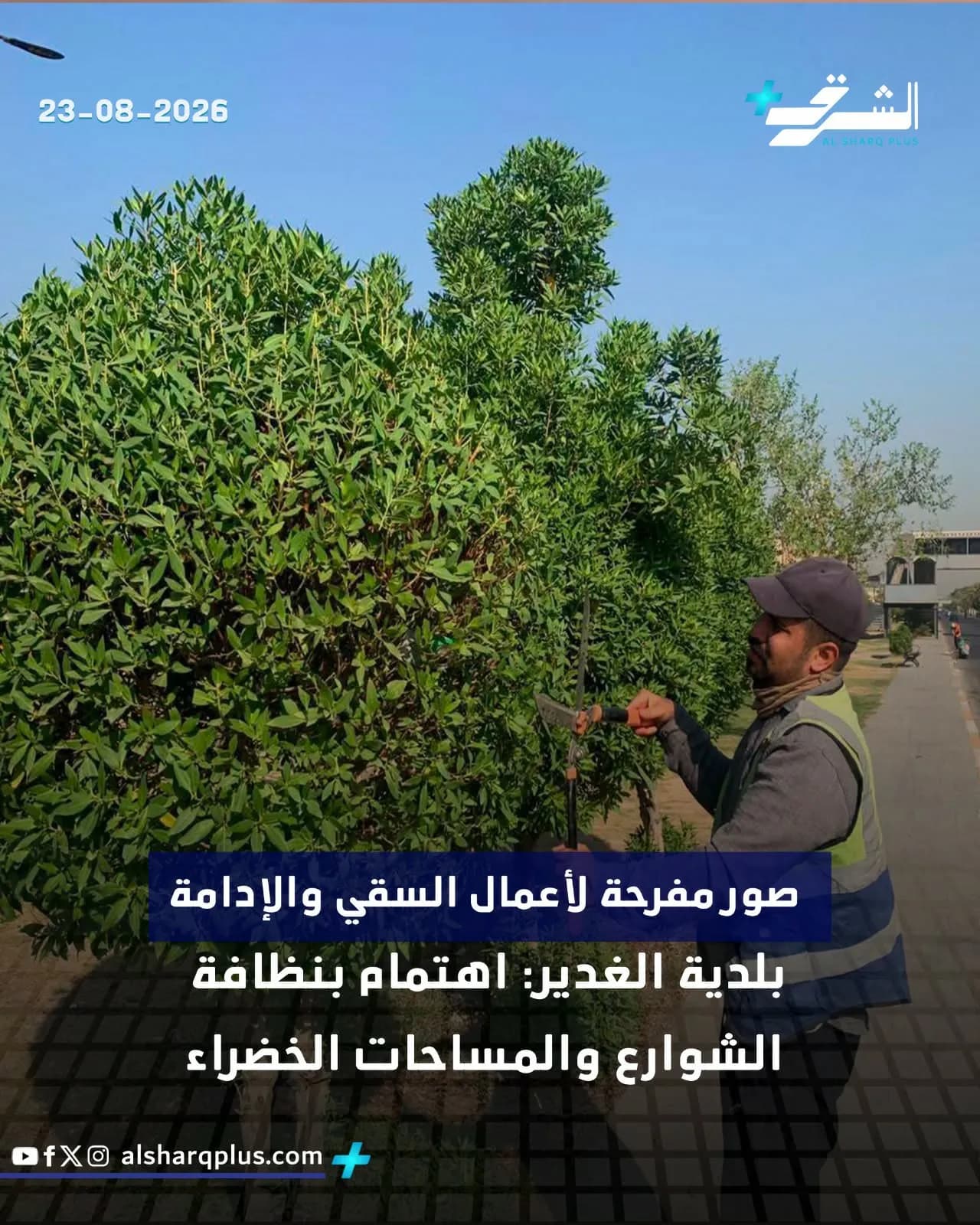 عامل بلدية يقلم شجيرات خضراء مورقة في الشارع بمدينة الغدير.