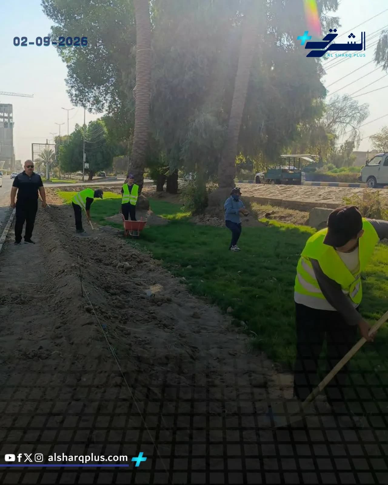 عمال يشاركون في حملة تنظيف وزراعة على جانب طريق تكسوه الأشجار.